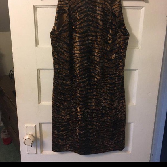 Hyena Striped Velvety Body Con Dress - Picture 3 of 8